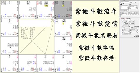 星橋紫微斗數|紫微斗數